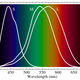 Image for article titled Can These Glasses Help the Colorblind? We Put EnChroma to the Test